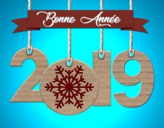 2019-4